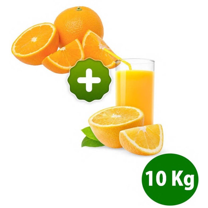 Naranjas Ecológicas de Mesa y Zumo de 10 Kg | Recién Cogidas del Árbol