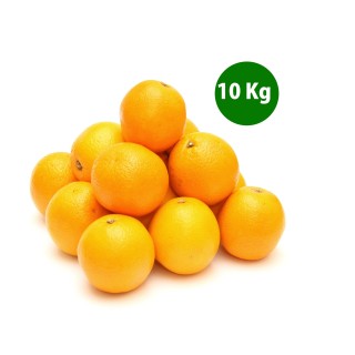 Naranjas Ecológicas Pequeñas sin seleccionar | Calidad al Mejor Precio