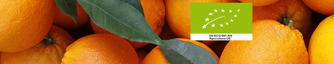 Venta de naranjas ecológicas a domicilio